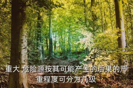 重大 危險(xiǎn)源按其可能產(chǎn)生的后果的嚴(yán)重程度可分為幾級