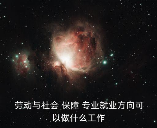 勞動(dòng)與社會(huì) 保障 專業(yè)就業(yè)方向可以做什么工作