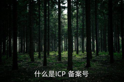 什么是ICP 備案號