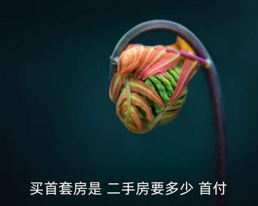 買(mǎi)首套房是 二手房要多少 首付