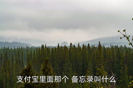 備忘錄是什么,國(guó)企里面的備忘錄是什么