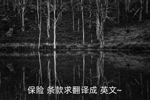 保險 條款求翻譯成 英文~