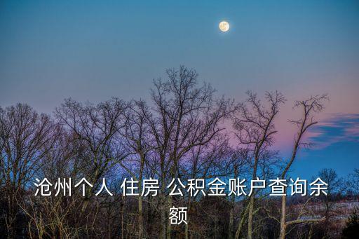  滄州個(gè)人 住房 公積金賬戶查詢余額