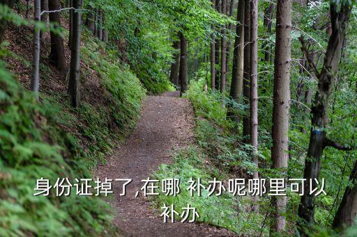  身份證掉了,在哪 補辦呢哪里可以 補辦