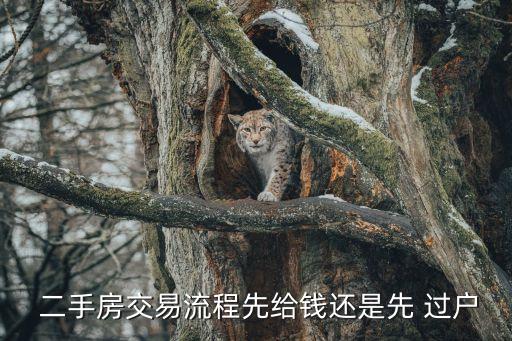 買二手房是先過(guò)戶還是先付款,二手房裝修翻新大概多少錢