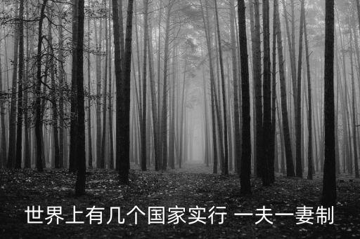 世界上有幾個(gè)國(guó)家實(shí)行 一夫一妻制