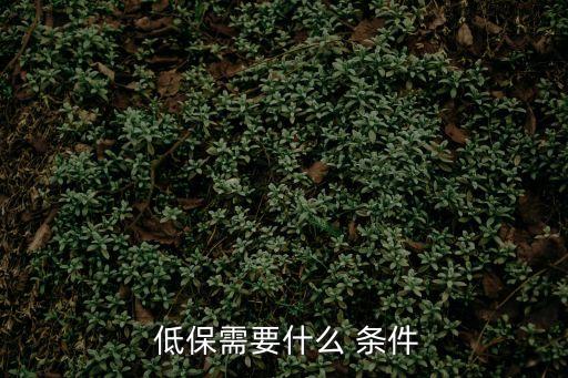  低保需要什么 條件