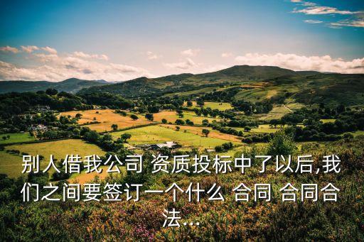 別人借我公司 資質投標中了以后,我們之間要簽訂一個什么 合同 合同合法...