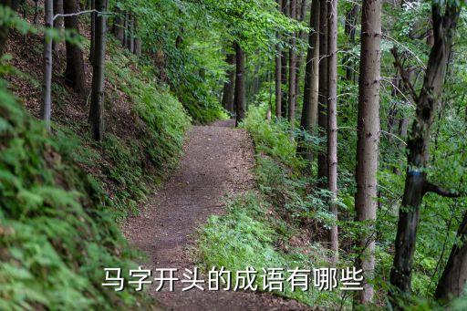 馬青梅