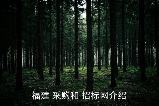 福建 采購(gòu)和 招標(biāo)網(wǎng)介紹