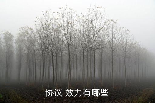 合同成立的法律效力有哪些,合同依法成立不一定就發(fā)生法律效力