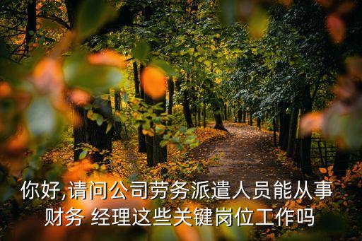 財務(wù)經(jīng)理勞動合同