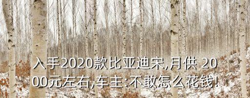 入手2020款比亞迪宋,月供 2000元左右,車主:不敢怎么花錢!