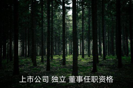 獨(dú)立董事