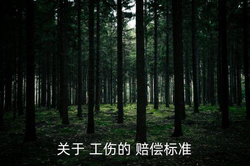 關于 工傷的 賠償標準