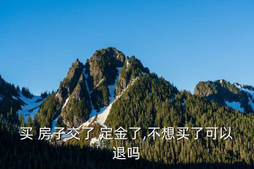 買 房子交了 定金了,不想買了可以退嗎