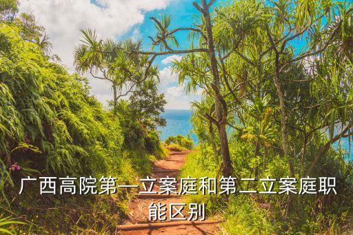  廣西高院第—立案庭和第二立案庭職能區(qū)別