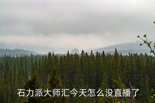 石力派