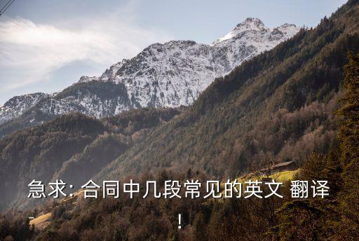 急求: 合同中幾段常見的英文 翻譯!