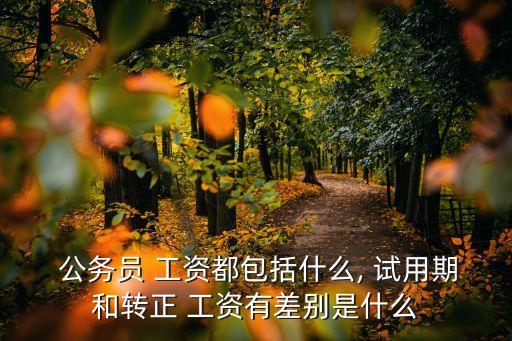 公務(wù)員試用期工資,有工齡的公務(wù)員試用期工資