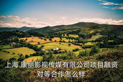 上海 康麗影視傳媒有限公司項(xiàng)目融資對等合作怎么樣