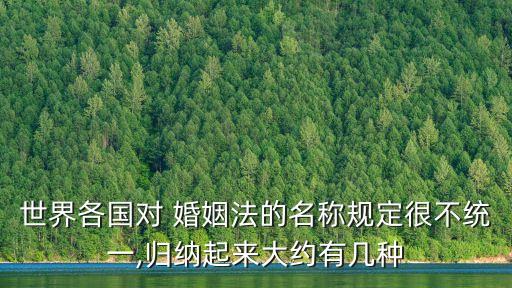香港最新的婚姻條例全文,香港婚姻條例第181章