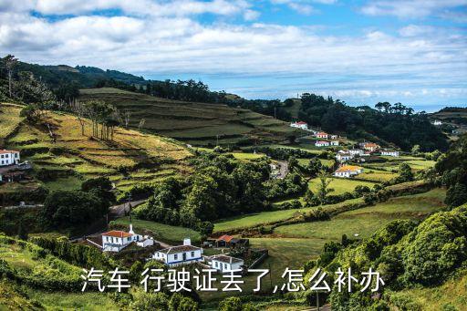 汽車 行駛證丟了,怎么補(bǔ)辦