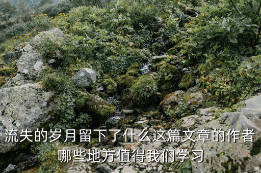 流失的歲月留下了什么這篇文章的作者哪些地方值得我們學習