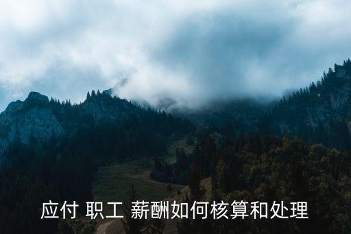 應(yīng)付 職工 薪酬如何核算和處理