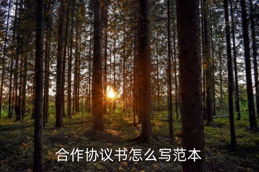 合作協(xié)議書(shū)怎么寫(xiě)范本