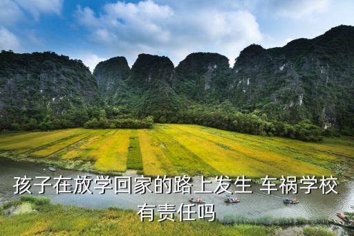 孩子在放學回家的路上發(fā)生 車禍學校有責任嗎