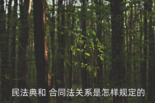  民法典和 合同法關(guān)系是怎樣規(guī)定的