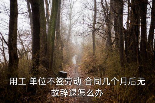 用工 單位不簽勞動 合同幾個月后無故辭退怎么辦