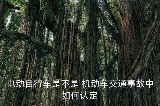 機(jī)動(dòng)車(chē)和非機(jī)動(dòng)車(chē)的區(qū)別,無(wú)需駕照的四輪電動(dòng)汽車(chē)