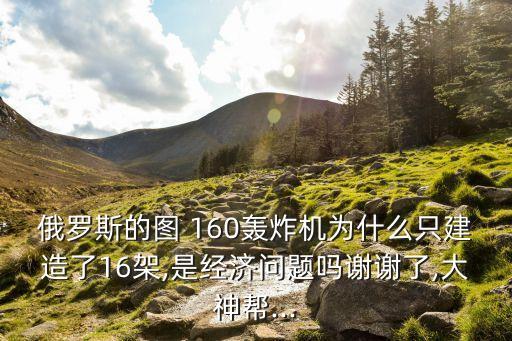 俄羅斯的圖 160轟炸機(jī)為什么只建造了16架,是經(jīng)濟(jì)問題嗎謝謝了,大神幫...