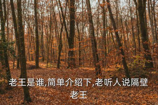 老王是誰,簡(jiǎn)單介紹下,老聽人說隔壁老王