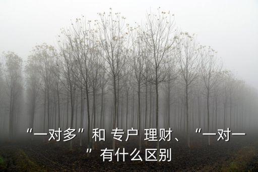 “一對多”和 專戶 理財、“一對一”有什么區(qū)別