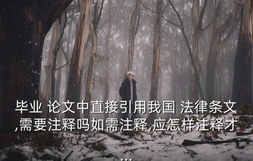 法律適用論文格式,涉外婚姻法律適用論文