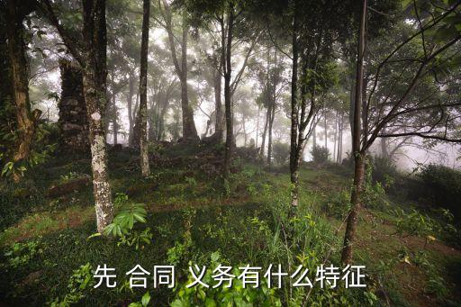 先合同義務(wù)包括哪些,買賣合同中賣方的義務(wù)有哪些