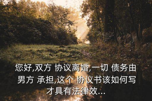 債務(wù)由男方承擔(dān)怎么寫(xiě)協(xié)議,個(gè)人債務(wù)轉(zhuǎn)讓協(xié)議怎么寫(xiě)范本