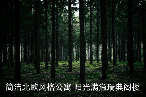 簡潔北歐風格公寓 陽光滿溢瑞典閣樓