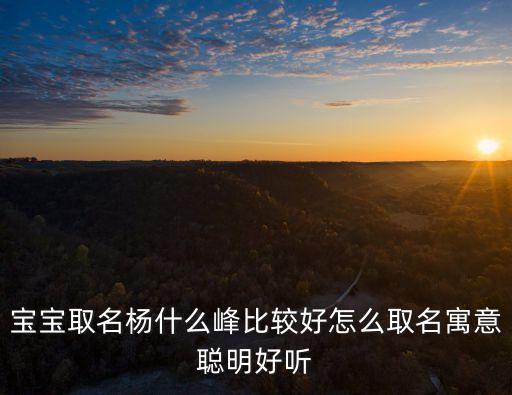 寶寶取名楊什么峰比較好怎么取名寓意聰明好聽
