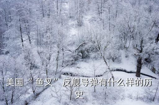 美國“ 魚叉”反艦導(dǎo)彈有什么樣的歷史