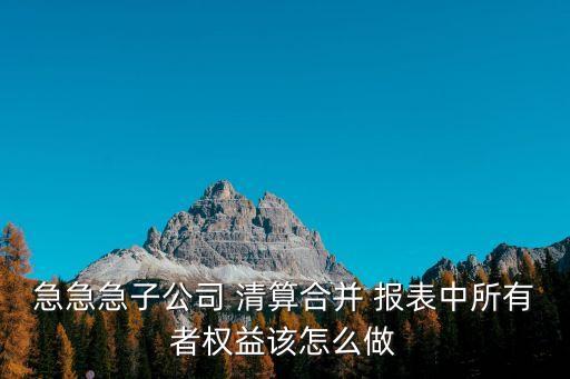 急急急子公司 清算合并 報(bào)表中所有者權(quán)益該怎么做