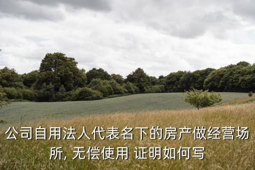 公司自用法人代表名下的房產(chǎn)做經(jīng)營場所, 無償使用 證明如何寫