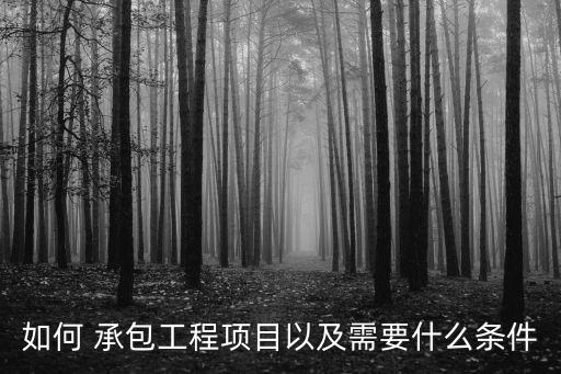 如何 承包工程項(xiàng)目以及需要什么條件