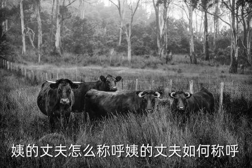 姨的丈夫怎么稱呼姨的丈夫如何稱呼
