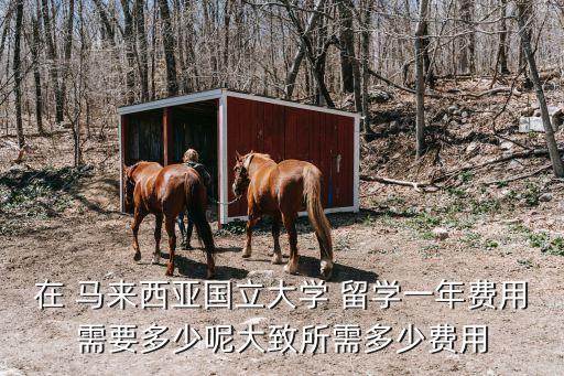 馬來西亞留學花費,窮人家庭留學哪國好