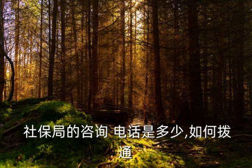  社保局的咨詢 電話是多少,如何撥通