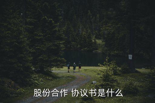 股份合同協(xié)議書,公司股份合作協(xié)議書